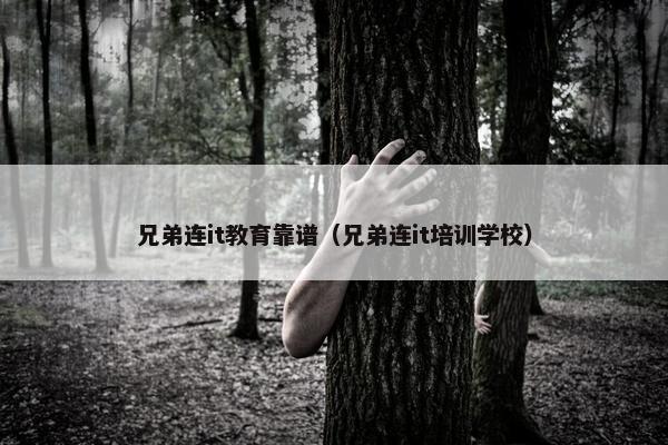 兄弟连it教育靠谱（兄弟连it培训学校）