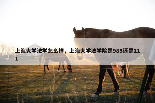上海大学法学怎么样，上海大学法学院是985还是211