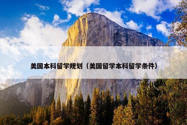 美国本科留学规划（美国留学本科留学条件）