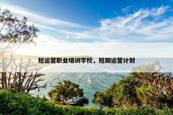 短运营职业培训学校，短期运营计划
