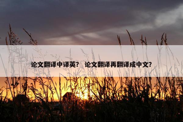 论文翻译中译英？ 论文翻译再翻译成中文？