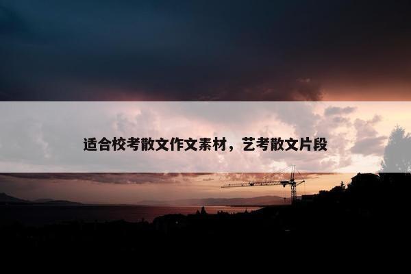 适合校考散文作文素材，艺考散文片段