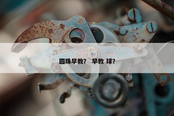 圆珠早教？ 早教 球？