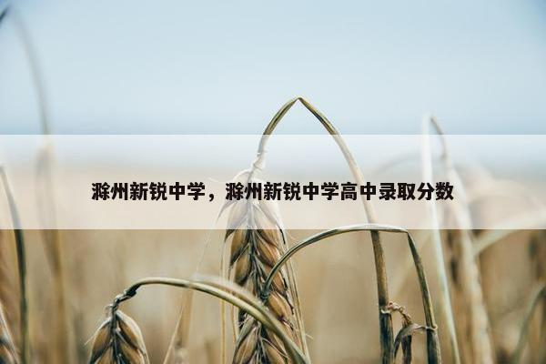 滁州新锐中学，滁州新锐中学高中录取分数