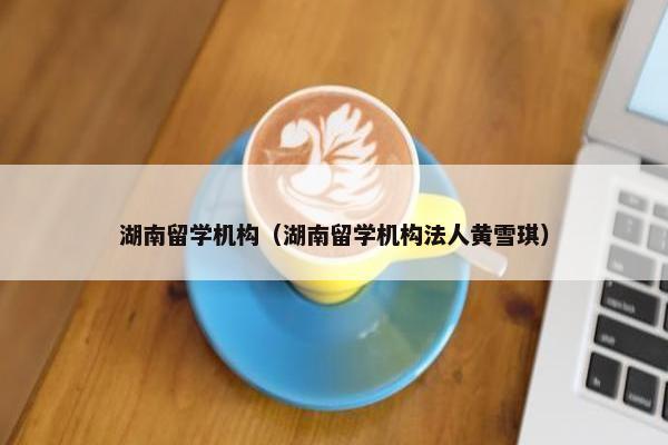 湖南留学机构（湖南留学机构法人黄雪琪）