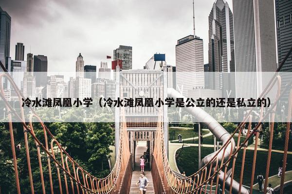 冷水滩凤凰小学（冷水滩凤凰小学是公立的还是私立的）