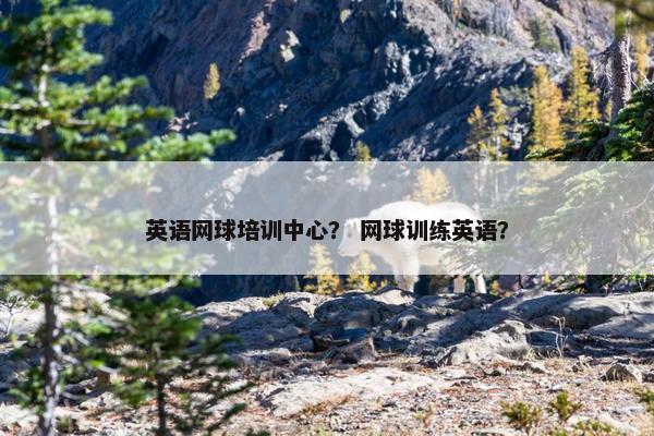 英语网球培训中心？ 网球训练英语？