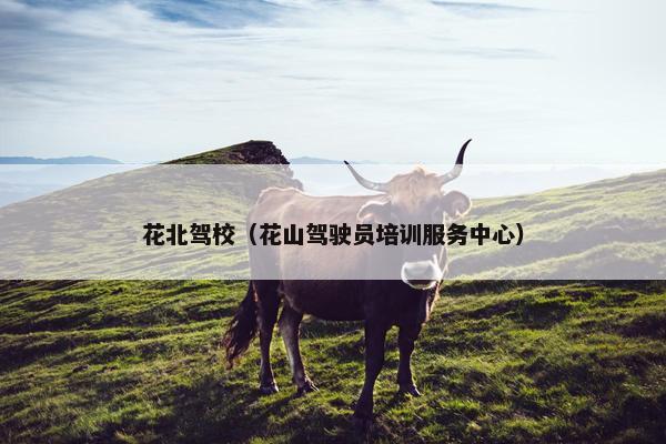 花北驾校（花山驾驶员培训服务中心）