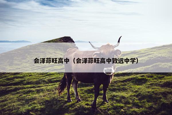 会泽茚旺高中（会泽茚旺高中致远中学）