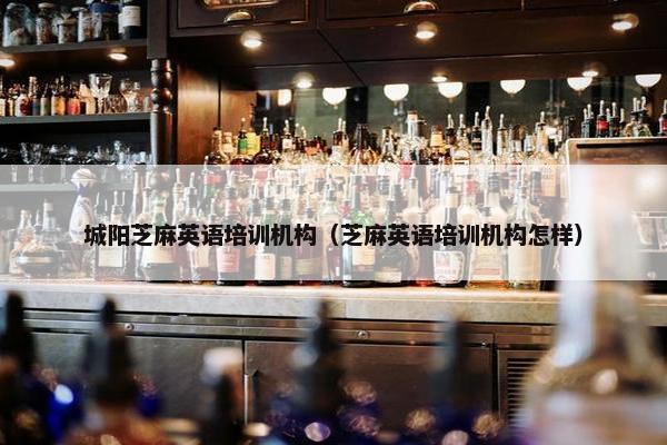 城阳芝麻英语培训机构（芝麻英语培训机构怎样）