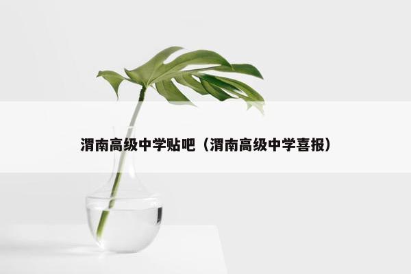 渭南高级中学贴吧（渭南高级中学喜报）