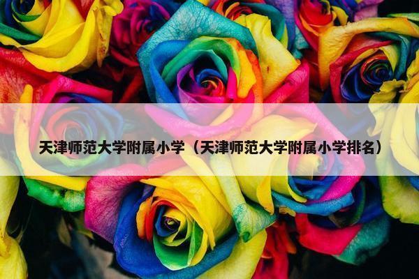 天津师范大学附属小学（天津师范大学附属小学排名）