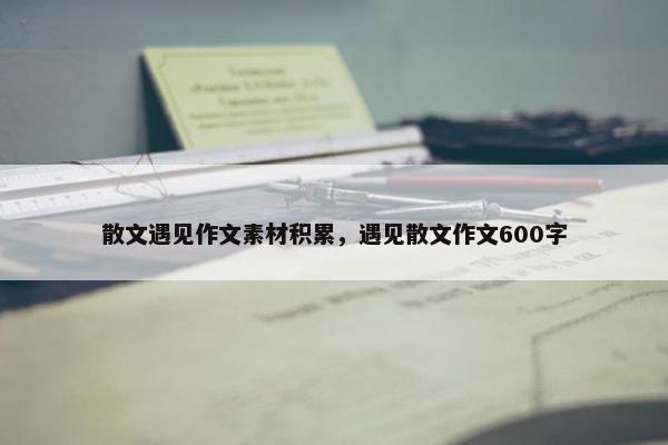 散文遇见作文素材积累，遇见散文作文600字