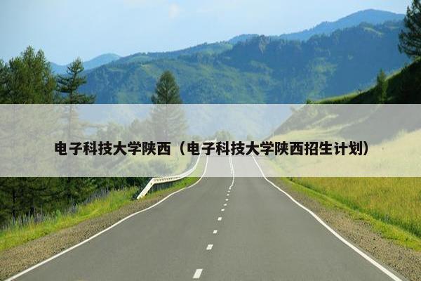 电子科技大学陕西（电子科技大学陕西招生计划）