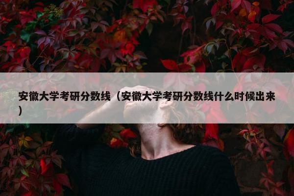 安徽大学考研分数线（安徽大学考研分数线什么时候出来）