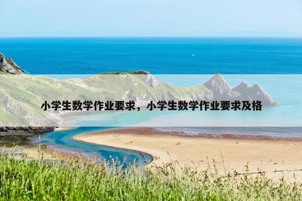 小学生数学作业要求，小学生数学作业要求及格
