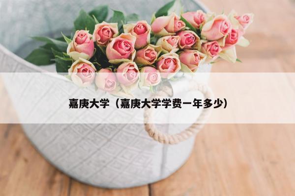 嘉庚大学（嘉庚大学学费一年多少）