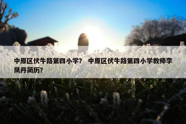 中原区伏牛路第四小学？ 中原区伏牛路第四小学教师李凤丹简历？
