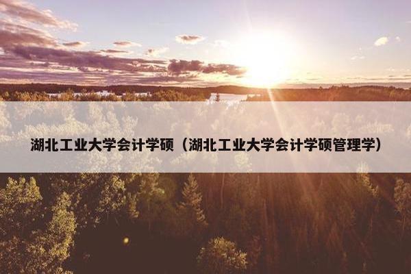 湖北工业大学会计学硕（湖北工业大学会计学硕管理学）
