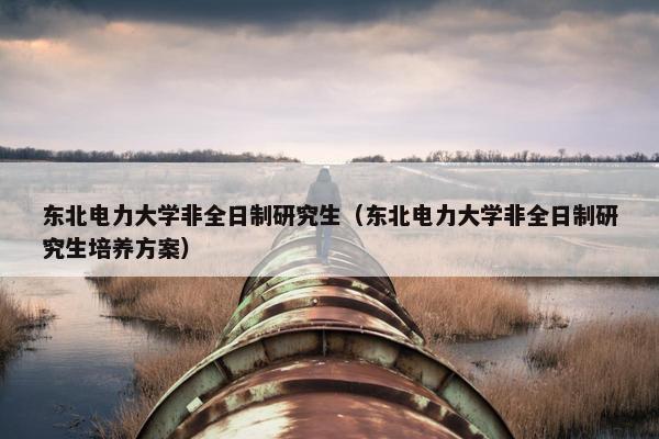 东北电力大学非全日制研究生（东北电力大学非全日制研究生培养方案）