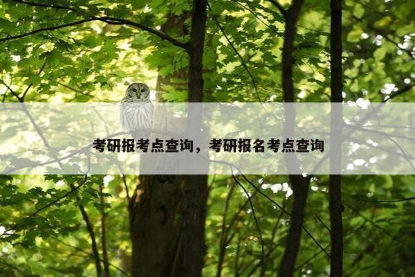 考研报考点查询，考研报名考点查询