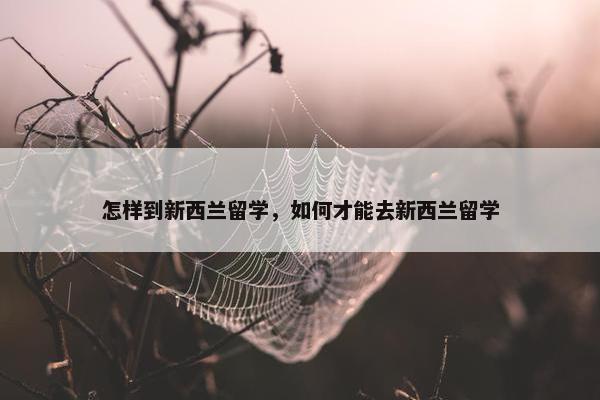 怎样到新西兰留学，如何才能去新西兰留学