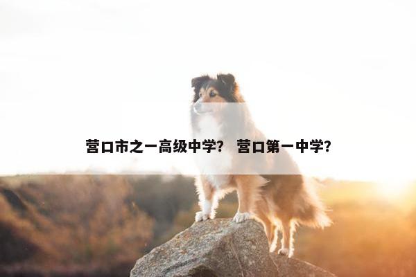 营口市之一高级中学？ 营口第一中学？