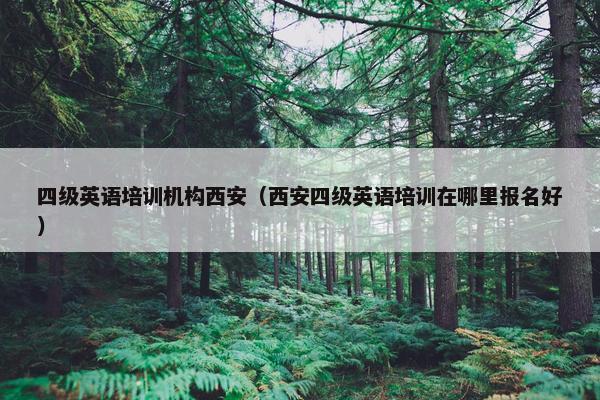 四级英语培训机构西安（西安四级英语培训在哪里报名好）