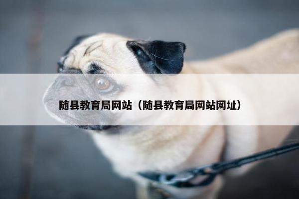 随县教育局网站（随县教育局网站网址）