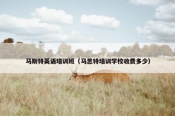 马斯特英语培训班（马思特培训学校收费多少）