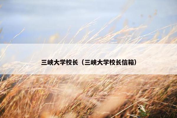 三峡大学校长（三峡大学校长信箱）