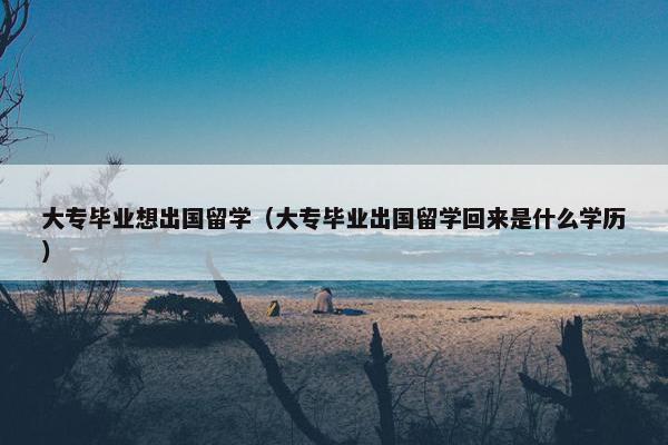 大专毕业想出国留学（大专毕业出国留学回来是什么学历）