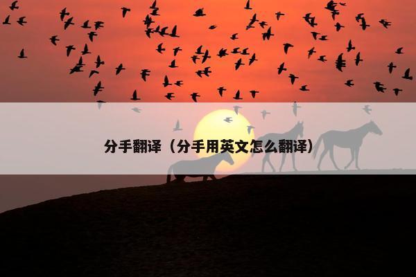 分手翻译（分手用英文怎么翻译）