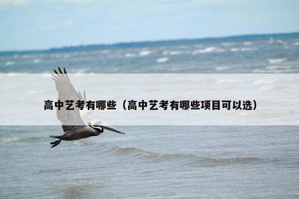 高中艺考有哪些（高中艺考有哪些项目可以选）