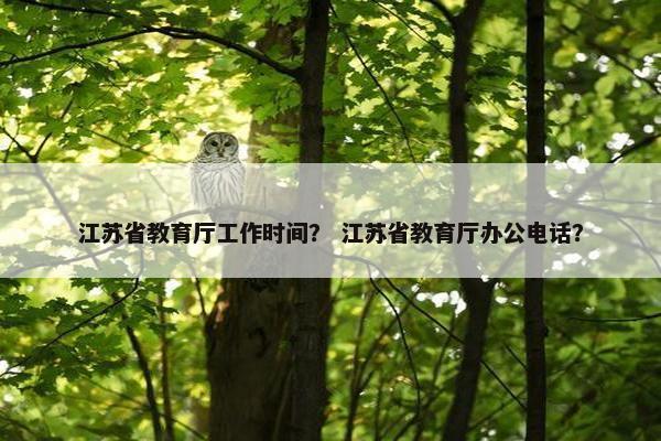 江苏省教育厅工作时间？ 江苏省教育厅办公电话？