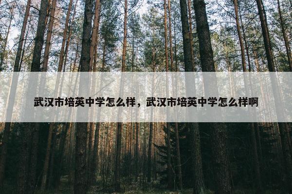 武汉市培英中学怎么样，武汉市培英中学怎么样啊