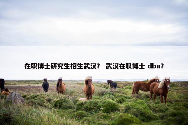 在职博士研究生招生武汉？ 武汉在职博士 dba？