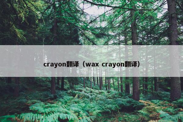 crayon翻译（wax crayon翻译）