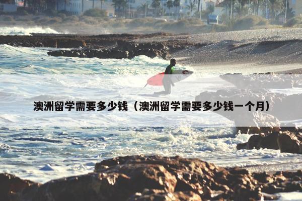 澳洲留学需要多少钱（澳洲留学需要多少钱一个月）