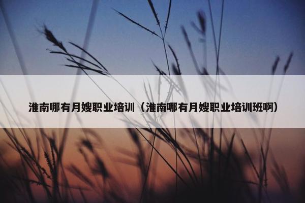 淮南哪有月嫂职业培训（淮南哪有月嫂职业培训班啊）