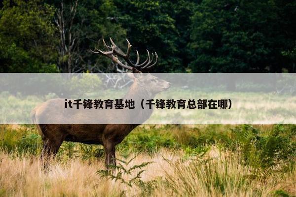it千锋教育基地（千锋教育总部在哪）