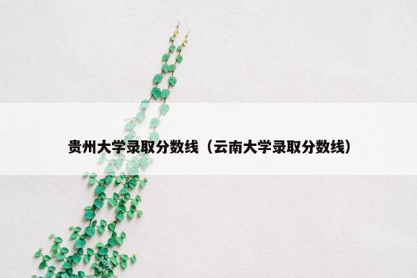 贵州大学录取分数线（云南大学录取分数线）