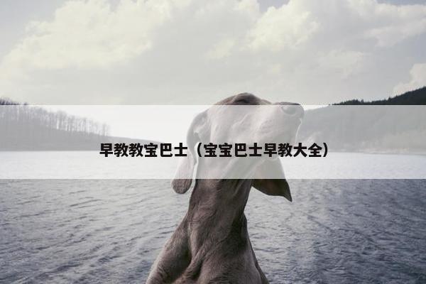 早教教宝巴士（宝宝巴士早教大全）