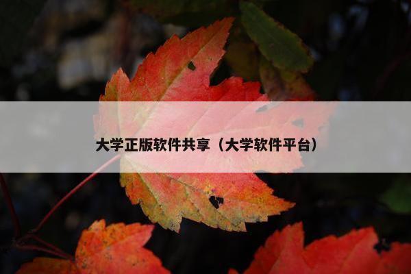 大学正版软件共享（大学软件平台）