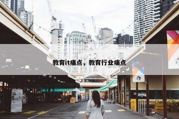 教育it痛点，教育行业痛点