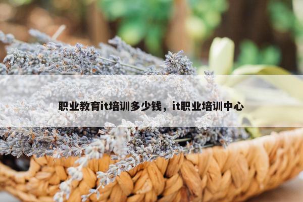 职业教育it培训多少钱，it职业培训中心