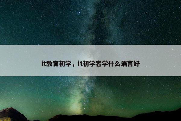 it教育初学，it初学者学什么语言好