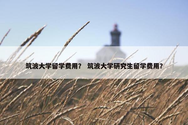筑波大学留学费用？ 筑波大学研究生留学费用？