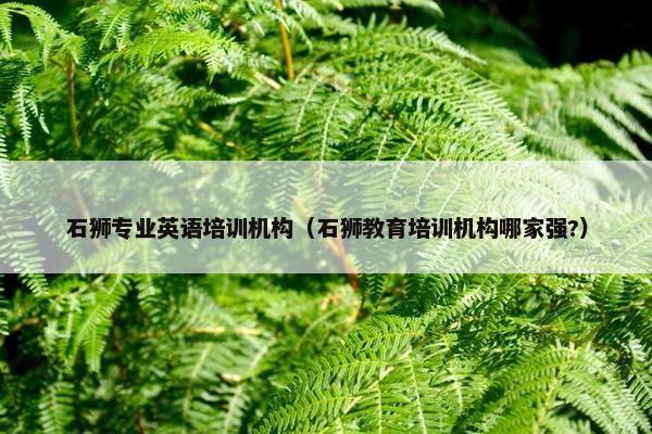 石狮专业英语培训机构（石狮教育培训机构哪家强?）