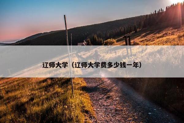 辽师大学（辽师大学费多少钱一年）